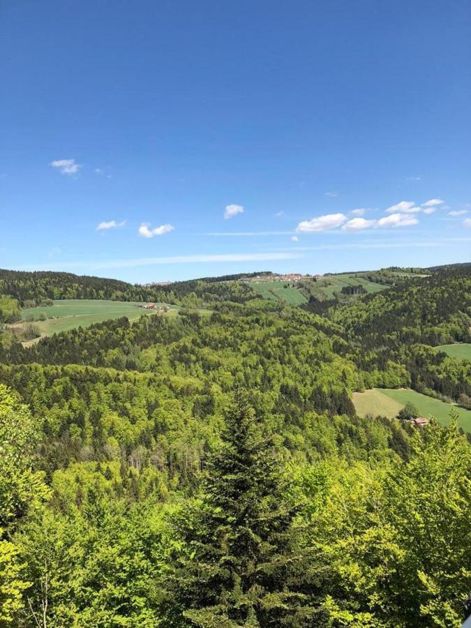 Ferienhaus Bayerwald Ringelai Exteriör bild